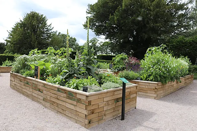 basic example of a raised garden bed
