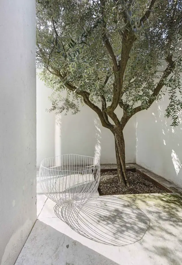 side of house landscaping ideas olive tree and concrete