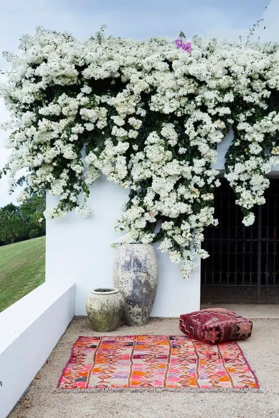 side of house landscaping ideas picnic with climbing flowers