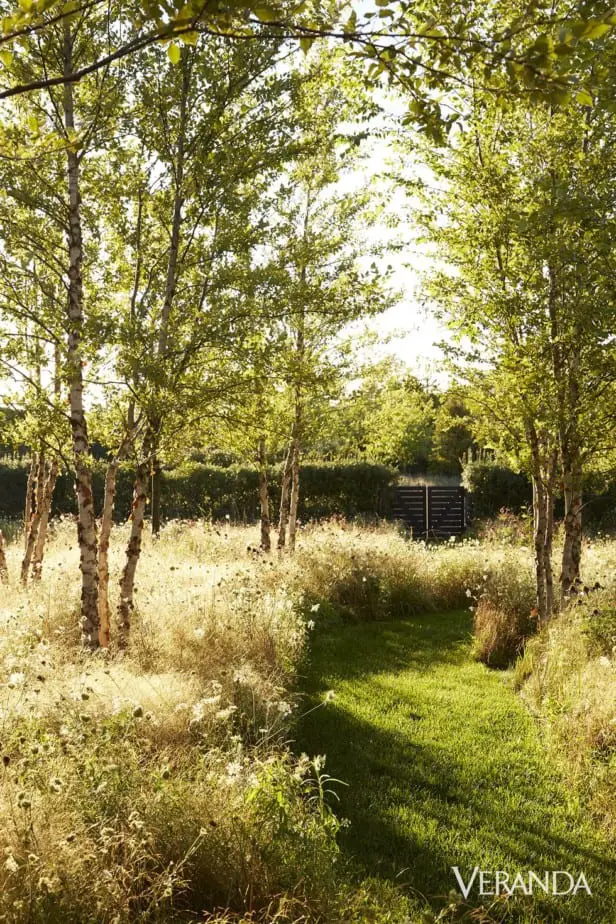 side of house landscaping ideas trees with wild grasses