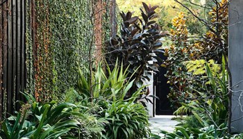 18 Side Of House Landscaping Ideas: How To Apply Them To Your House