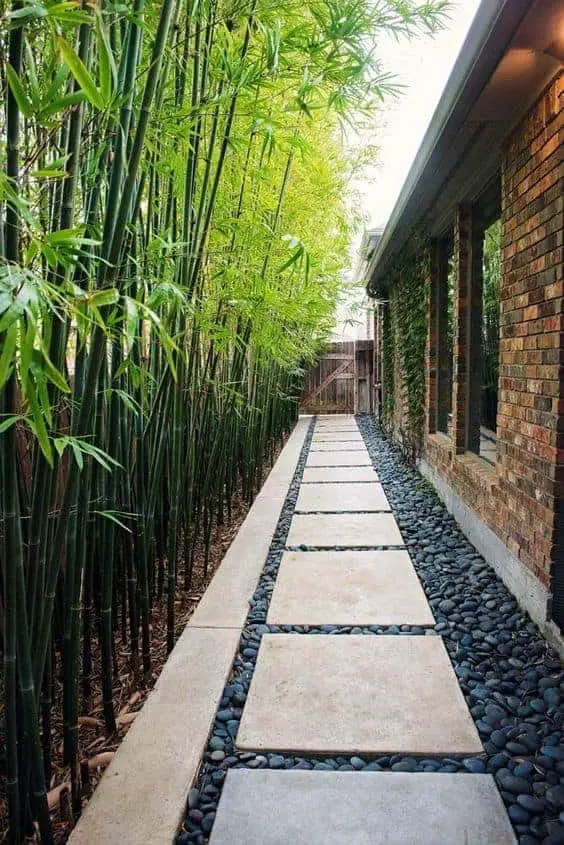 side of house landscaping ideas bamboo with concrete pavers