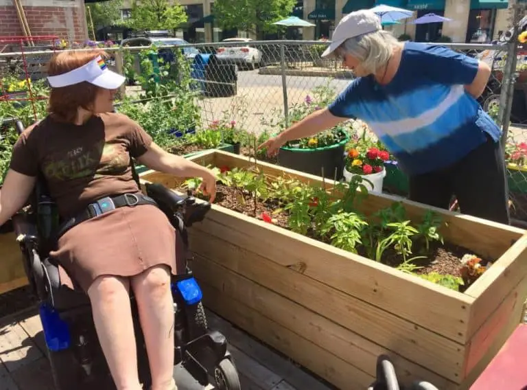 wheelchair accessible garden design