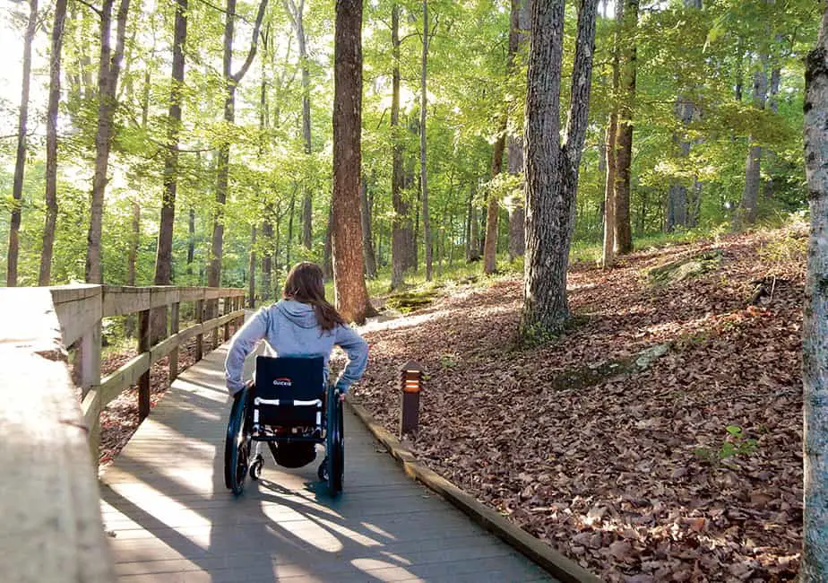 garden ideas for wheelchair access paths