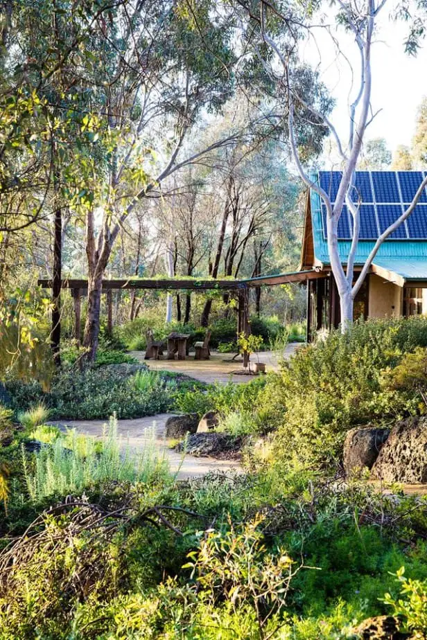 landscape design theory native australian garden