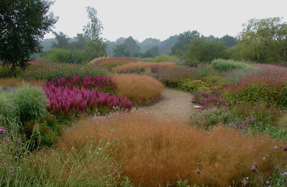 landscape design theory colourful meadow garden