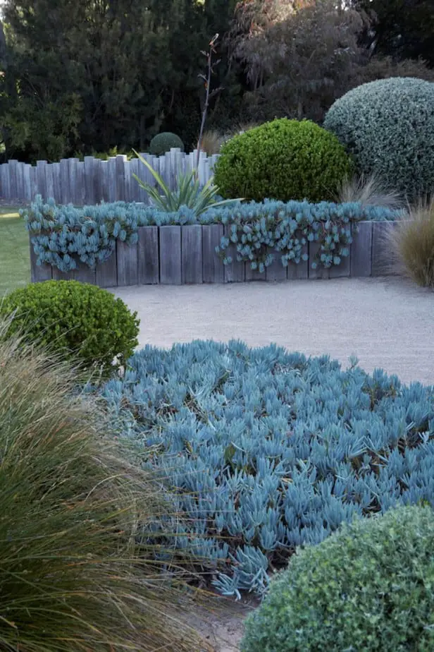 DIY landscaping ideas raised garden beds