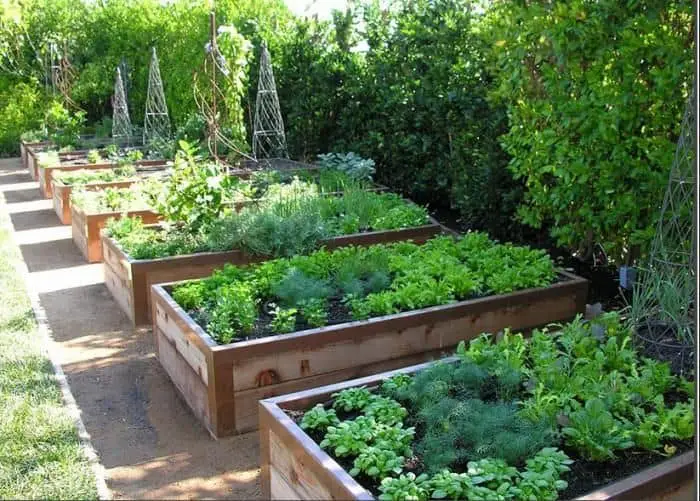 3 Principles You NEED TO FOLLOW To Create A GREAT Garden Design – How ...