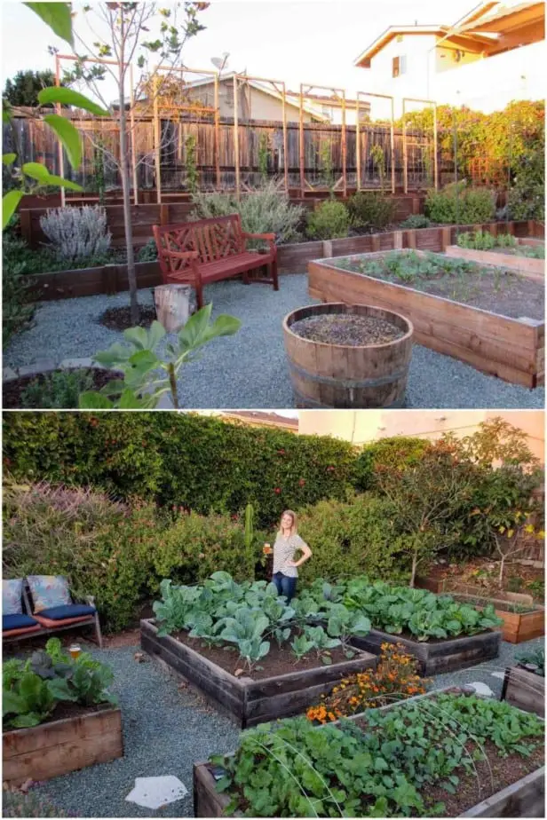 DIY garden ideas trellis