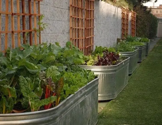 DIY garden ideas raised garden containers
